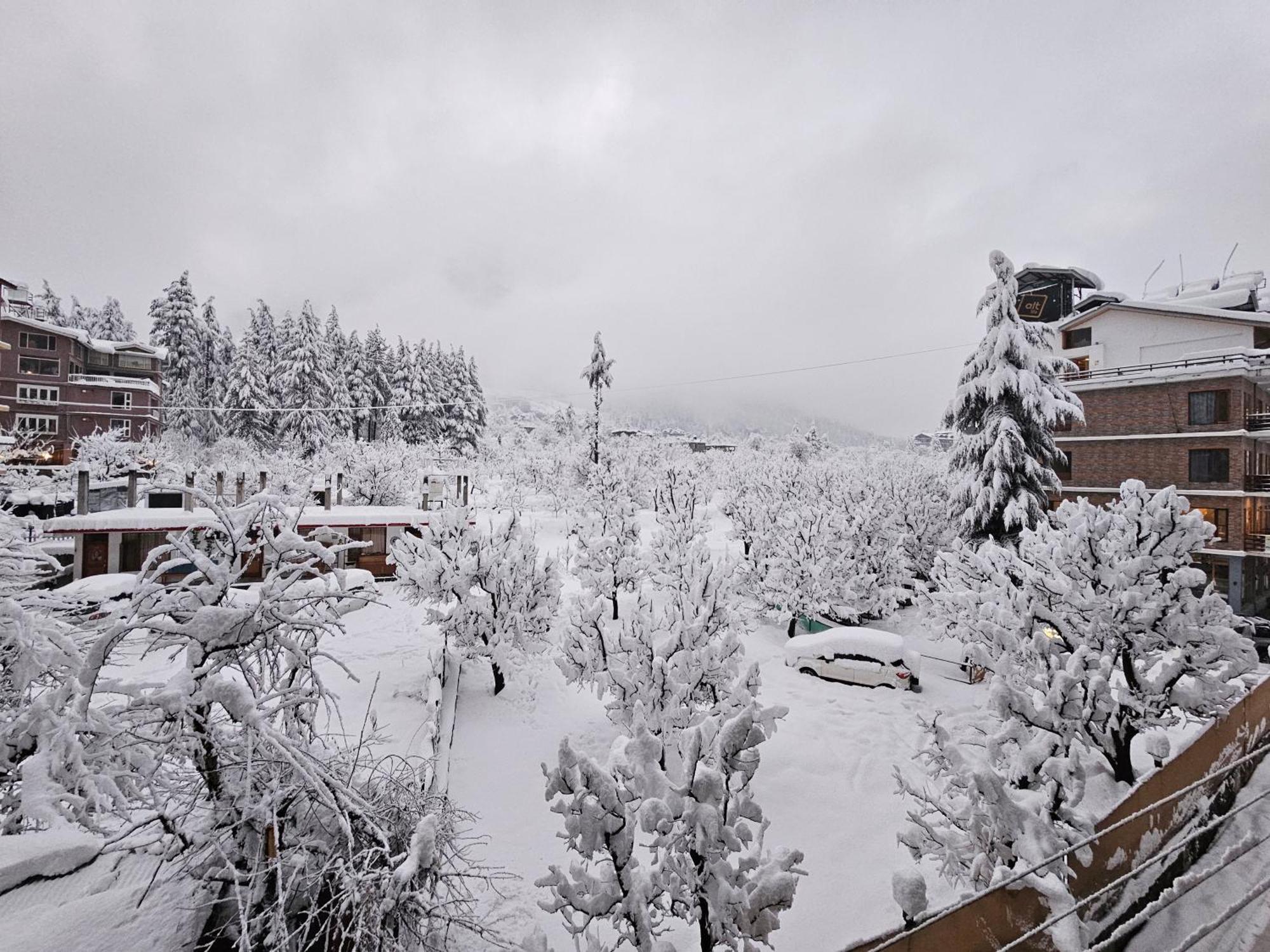 Hotel Apple Flower Манали Экстерьер фото